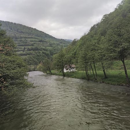 Vrbas Dreams Villa Torlakovac Dış mekan fotoğraf